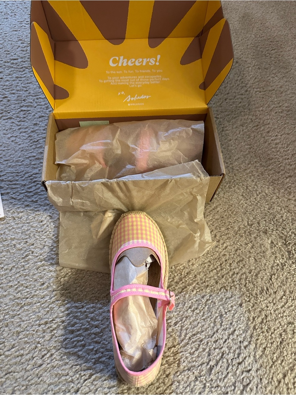 Women Pink Gingham Mary Jane Shoes - Comfortable Everyday Style